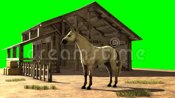 白马在马厩附近自然运动的三维绘制视频的预览图