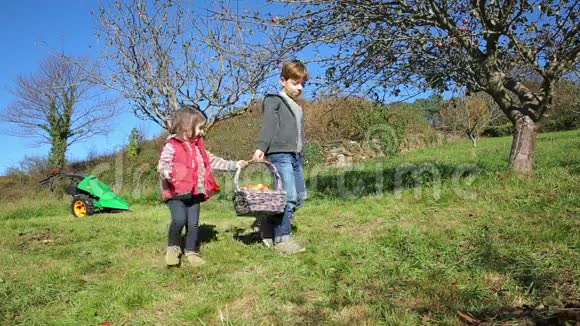 带着苹果的柳条篮子快乐的孩子们视频的预览图