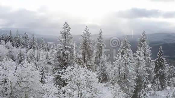 俄勒冈州冬季天气高清视频视频的预览图