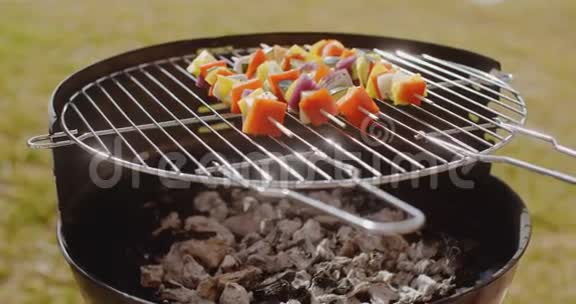 烧烤时烤出五颜六色的蔬菜串视频的预览图