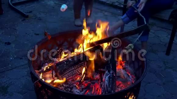 家庭壁炉中燃烧的木柴特写视频的预览图