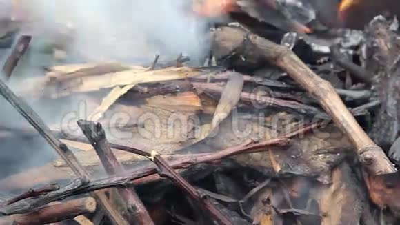 燃烧的树枝火烧木的自然过程视频的预览图