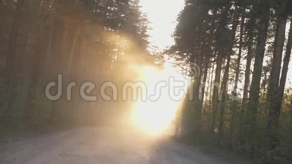 林中树木的道路缝隙中有一束非常明亮的阳光视频的预览图