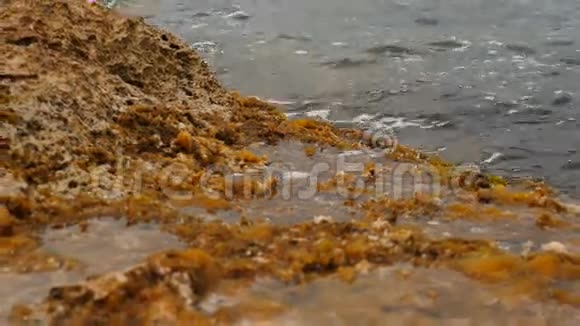 马耳他海岸线上的地面与其他海岸景观相协调视频的预览图
