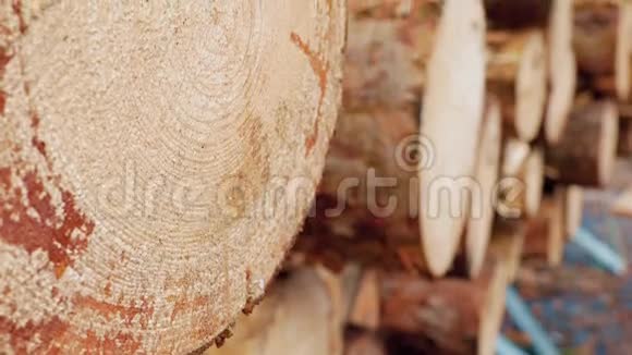 切割的原木在其他松木原木的背景上的大框架视频的预览图