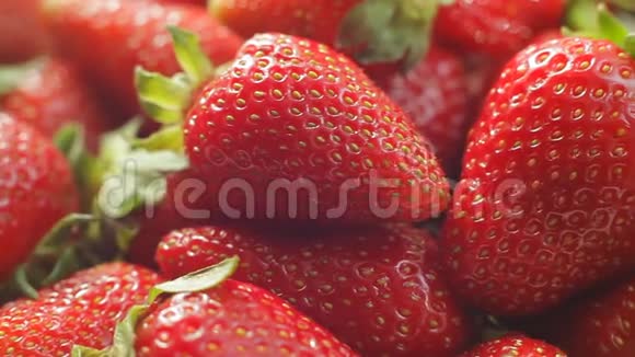 一堆红色鲜甜草莓宏观视频视频的预览图