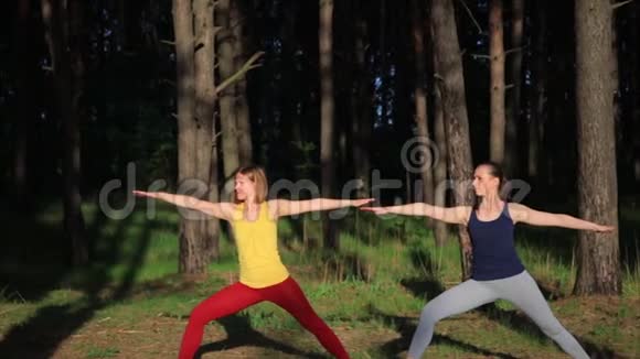 两个女孩在森林日落时冥想练习瑜伽健身运动勇士的姿势视频的预览图