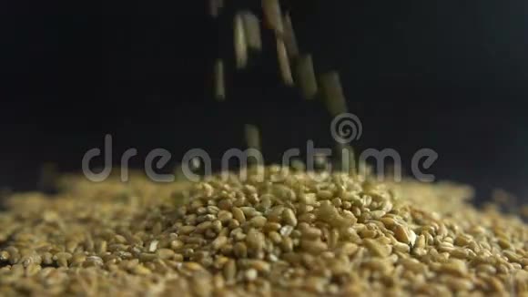 雌性手倒燕麦颗粒慢动作视频的预览图