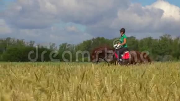 年轻女子骑着一匹马在田野上穿过麦穗视频的预览图