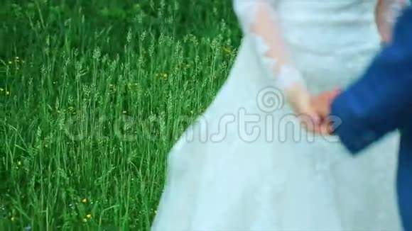 除草主题牵手新婚夫妇视频的预览图