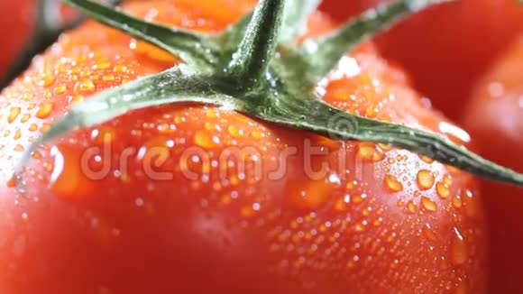 从成熟的西红柿上面滴下的水滴提供高清极致特写视频的预览图
