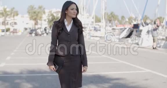 商务女性走在码头上视频的预览图
