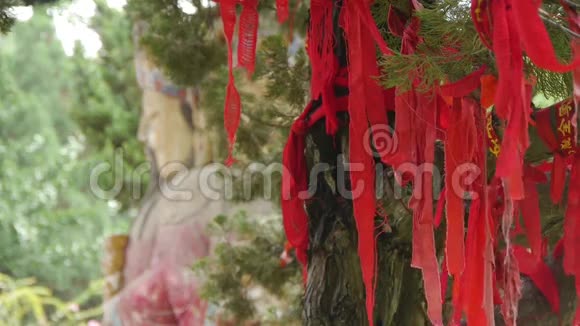红色丝带包裹在树枝上寺庙中的中国Fortuna雕塑历史雕塑和纪念碑视频的预览图