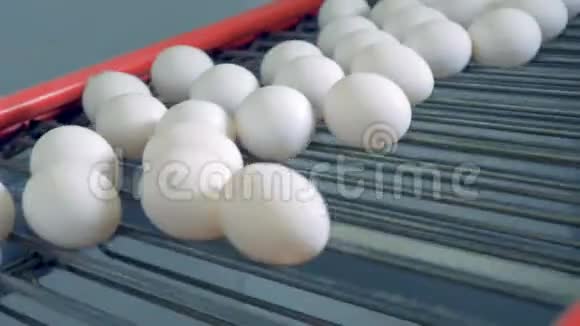鸡蛋在传送带上移动关闭视频的预览图