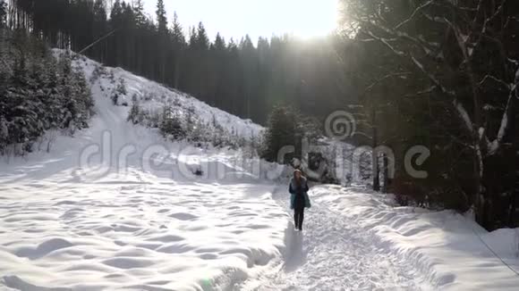 年轻漂亮的女孩走在白雪皑皑的冬林里她快乐而平静女孩看着两边太阳是视频的预览图