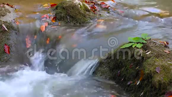 秋天森林里纯净的淡水瀑布视频的预览图