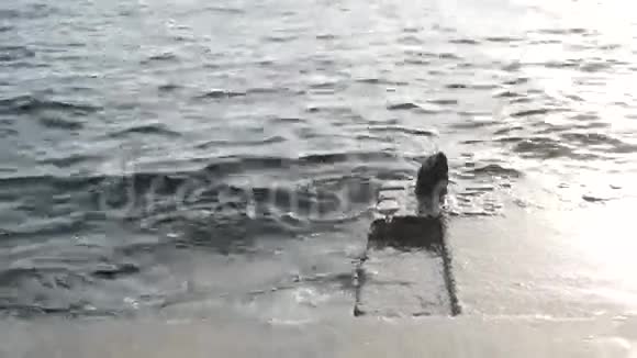 海上混凝土码头它是海浪视频的预览图