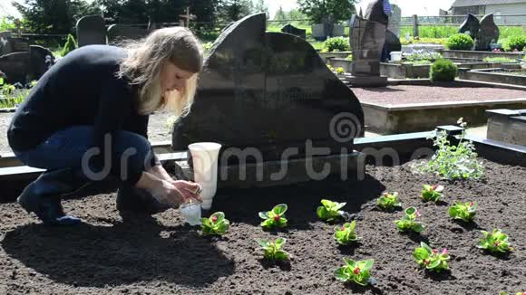 女人点燃蜡烛坟墓视频的预览图