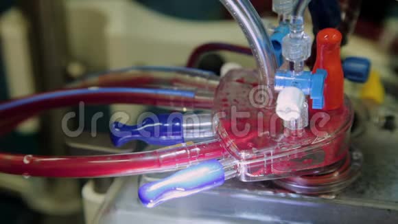 近距离操作心脏肺动脉机用管和皮瓣来运行血液视频的预览图