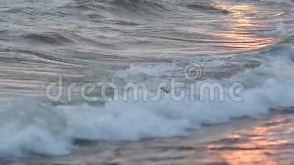 沙滩上的海浪沙滩上的夕阳沙滩上的打斗视频的预览图