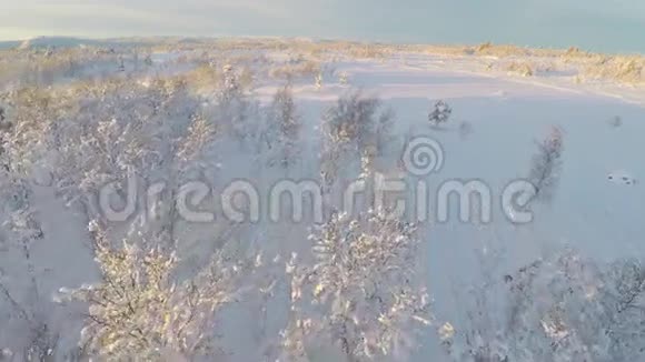 在雪山覆盖的平原上飞翔视频的预览图