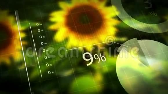 向日葵产量向日葵收获结果动画信息图形作为农业背景视频的预览图