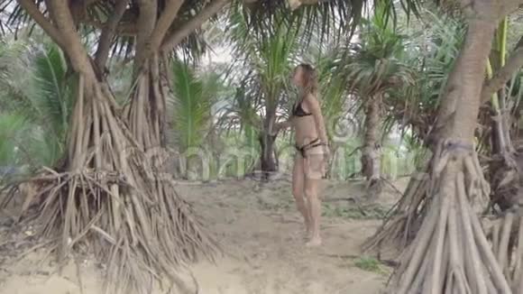 性感的女人手拿扇子在美丽的夏日棕榈树之间视频的预览图