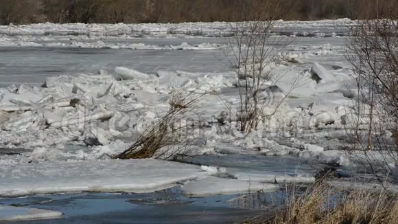 春天河流上大型浮冰的移动视频的预览图