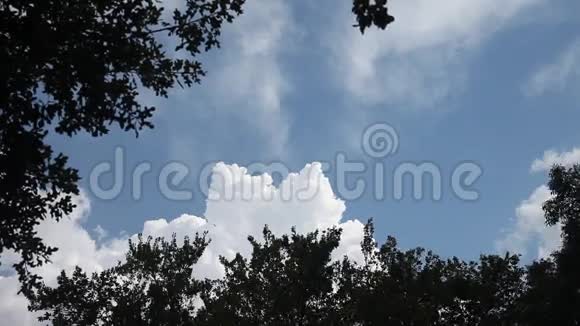 天空和树木的戏剧性云视频的预览图