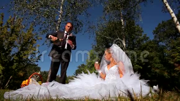 新婚夫妇在大自然中喝香槟视频的预览图