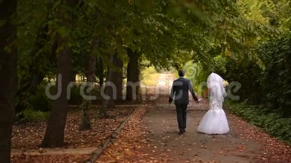 新娘和新郎散步视频的预览图