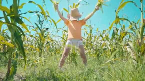 一个戴草帽的男孩正在玉米地里玩耍孩子拿着玉米芯表现得像个牛仔视频的预览图