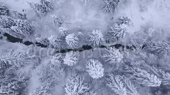 冬季山河的最高景观被树木和积雪覆盖的河岸所包围视频的预览图