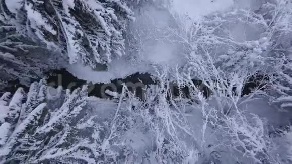 冬季山河的最高景观被树木和积雪覆盖的河岸所包围视频的预览图