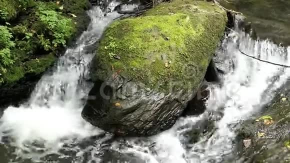 参观瀑布死亡劳斯奇在野生安德特溪旁边的科赫姆莫塞尔河德国视频的预览图