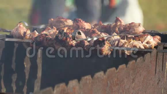 火盆上烤的什锦烤肉串视频的预览图