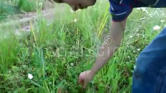 少年收集成熟的野生草莓男孩在森林边缘收集浆果视频的预览图