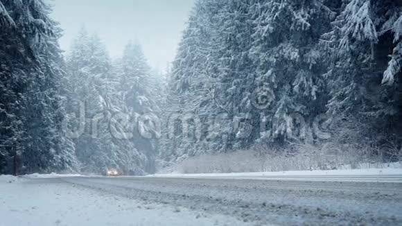汽车在暴风雪中穿过森林视频的预览图