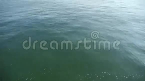 水波荡漾表面海洋波时间推移视频的预览图