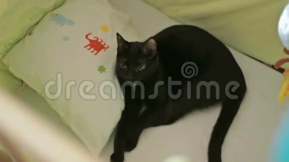 黑猫躺在床上眨眼睛视频的预览图