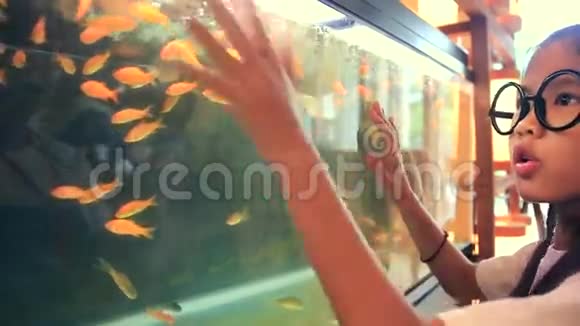 快乐的亚洲孩子在鱼缸里看鱼视频的预览图
