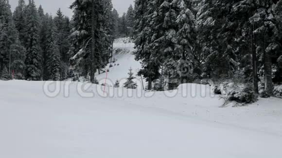 滑雪坡阴天有云杉树视频的预览图