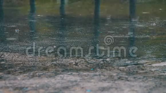 雨滴穿过水坑视频的预览图