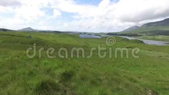 爱尔兰康奈马拉的湖景或河景32视频的预览图