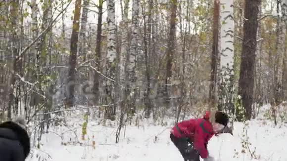 一家人在冬季公园玩雪球视频的预览图