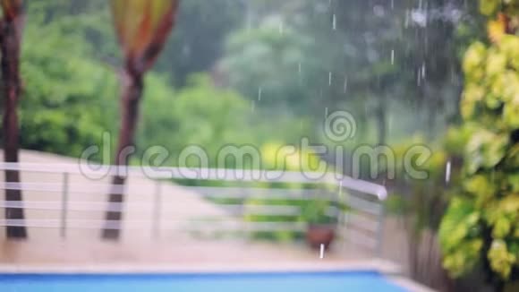 泰国苏梅岛游泳池的棕榈叶上落下热带雨滴背景模糊1920x1080视频的预览图