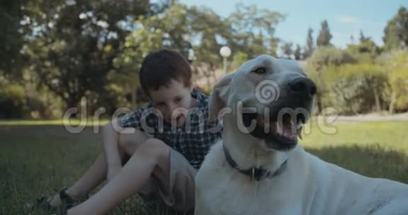 小男孩和一只大白狗玩视频的预览图