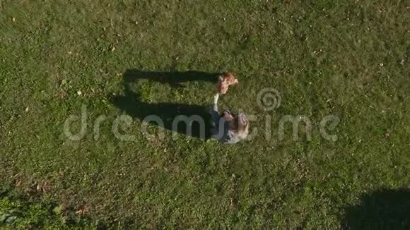 女孩在户外草地上玩公鸡猎犬视频的预览图