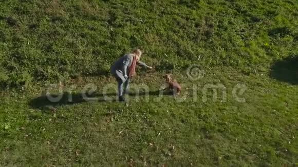 女孩在草地上玩狗视频的预览图