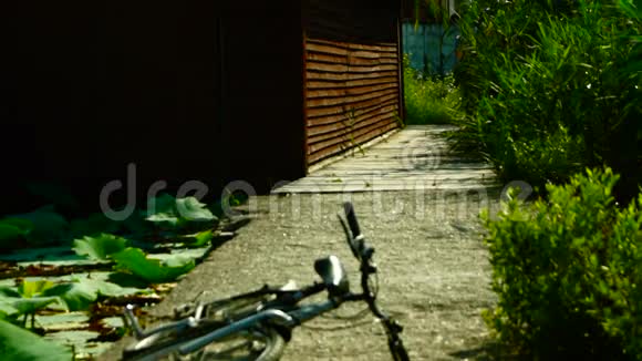 夏日木制码头上的自行车视频的预览图